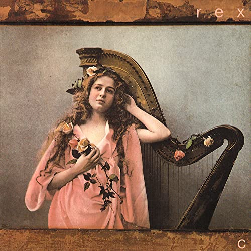 C - Vinyle Rose