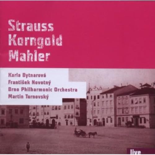 Novotny/Bytnarova/Brno Philharmonic Orchestra/Turn