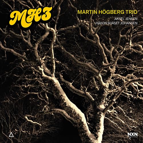 Mh3 (Martin Hogberg Trio)