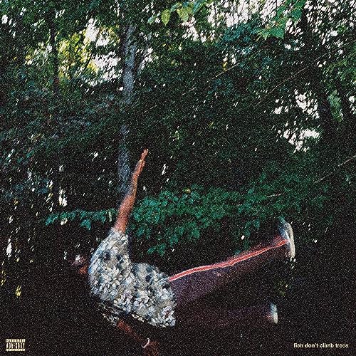 Fish Don'T Climb Trees