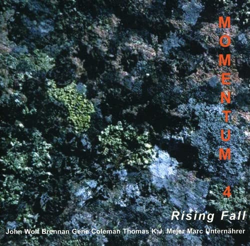 Momentum 4: Rising Fall