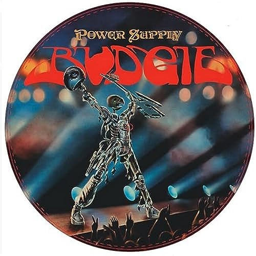 Power Supply (Picture Disc)