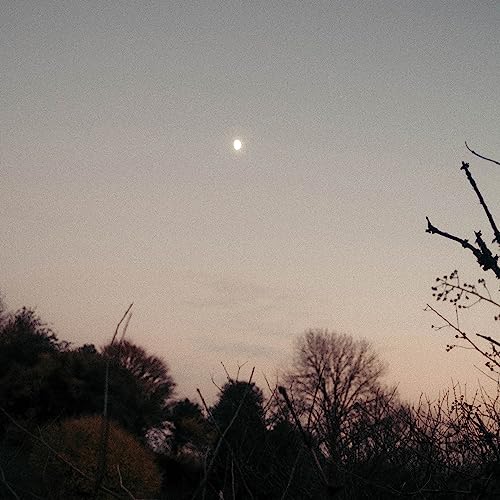 Navigator Dreamer Awake -Transpar-