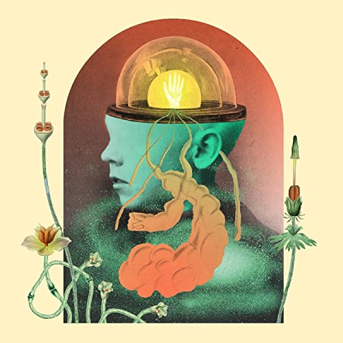 Salami Rose Joe Louis-Akousmatikous Cd