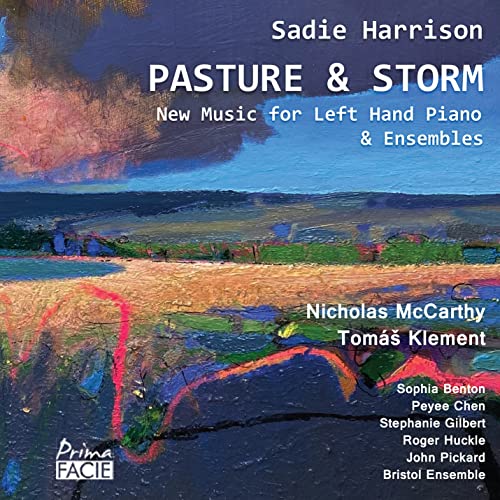 Pasture And Storm