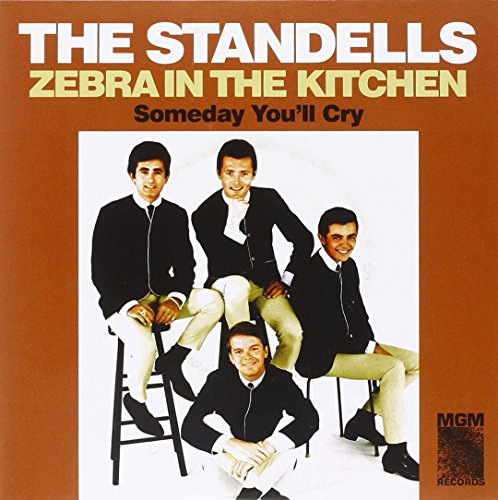 Zebra In The Kitchen/Someday Youll Cry (2 Lp)