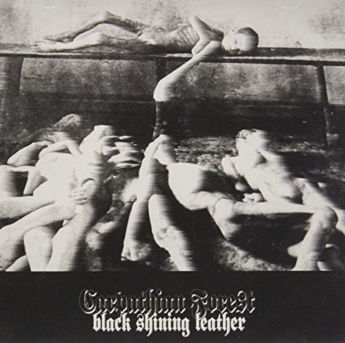 Black Shining Leather