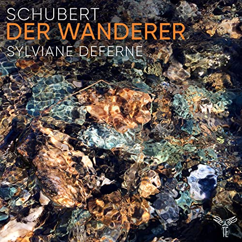 Der Wanderer (Klavierwerke)
