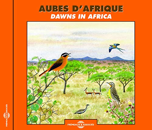 Dawns In Africa
