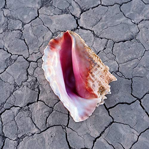 Wonderful Wonderful: Deluxe Edition