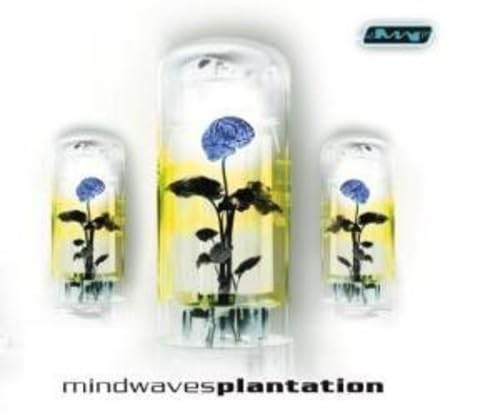 Plantation
