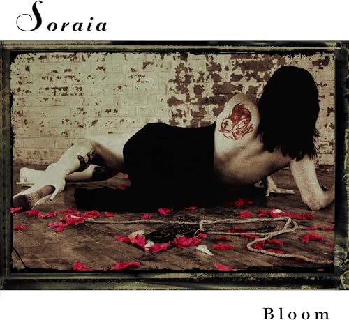 Bloom