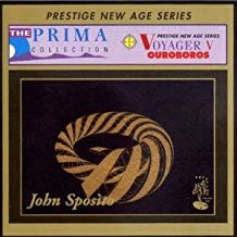 Voyager 5