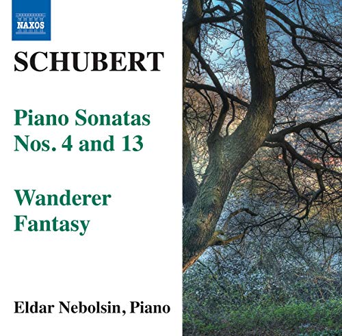 Wanderer-Fantasie D 760, Sonata Per