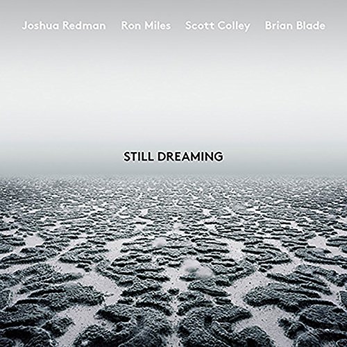 Still Dreaming