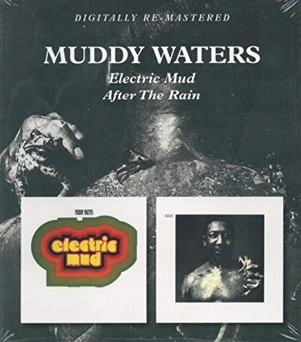 Electric Mud - After The Rain