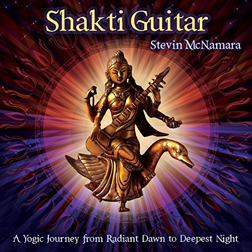 Shakti Guitar