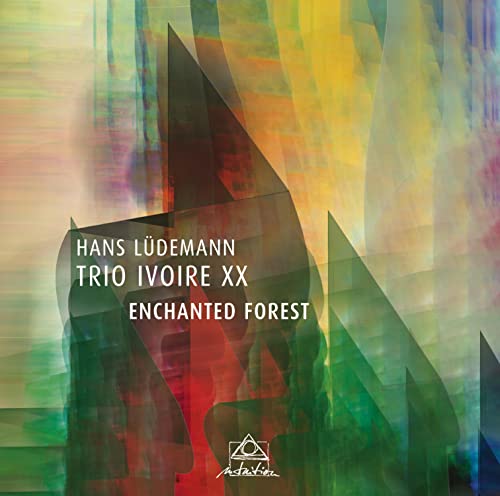 Enchanted Forest