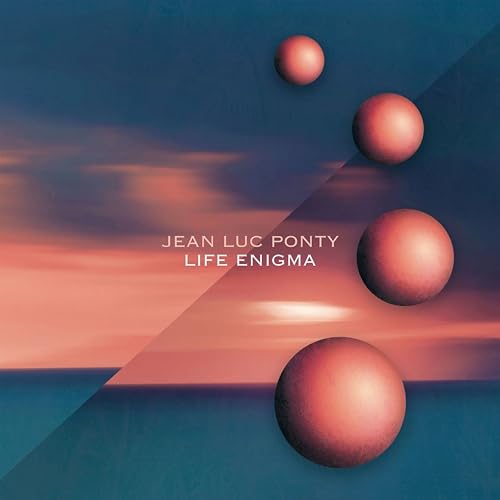 Life Enigma (Vinyl)