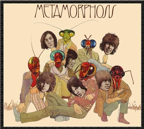 Metamorphosis:..