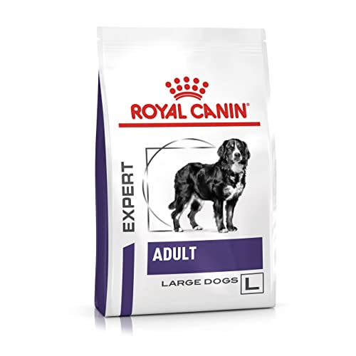 Royal Canin Adult Large - Dry Food 13 Kg