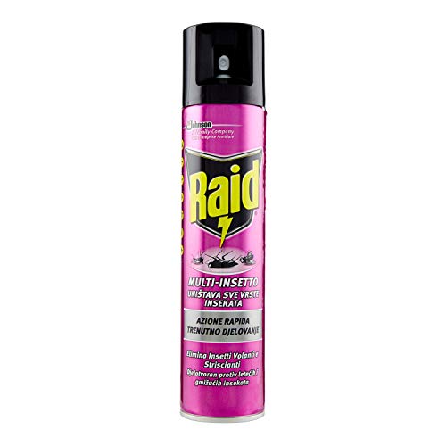 Raid Multinsetto Spray, 300Ml