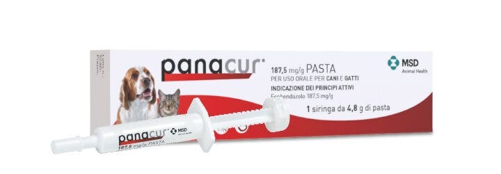 Panacur 187,5 Mg/g Pasta Per Uso Orale Per Cani E Gatti Siringa da 4,8g