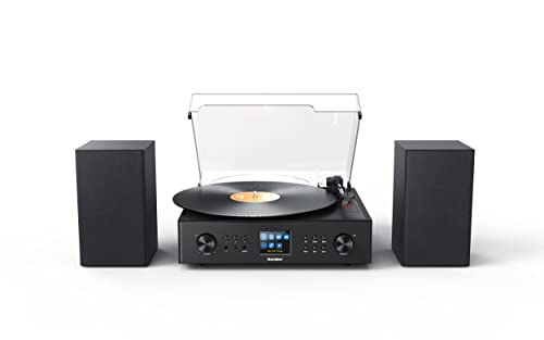 Sistema Compatto Karcher Mc 8000Di Con Radio Internet/Radio Dab+ E Lettore Di Dischi Integrato - Riproduzione Mp3 Tramite Aux-In/Bluetooth - Sveglia E