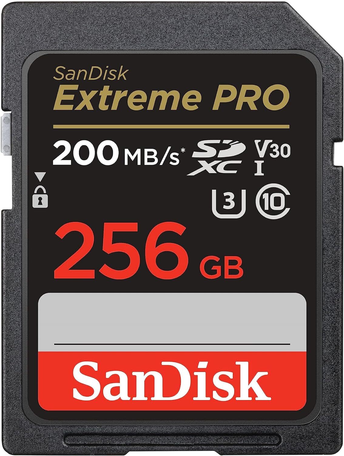 SanDisk 256GB Extreme PRO scheda SDXC + RescuePro Deluxe fino a 200