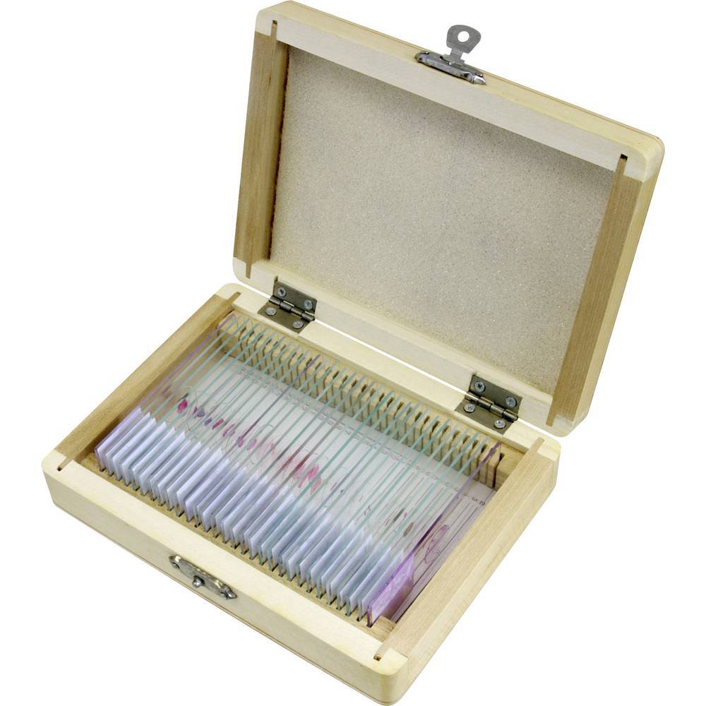 Bresser Optik Bresser 5985000 Kit esperimenti