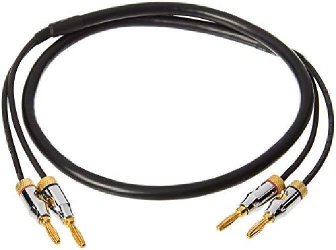 Amazon Basics Cavo per altoparlanti con connettori a banana placcati in oro, CL2