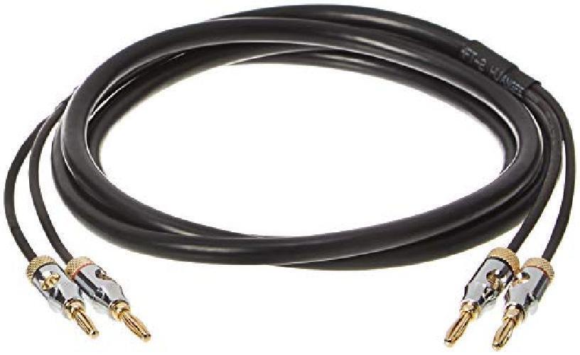 Amazon Basics Cavo per altoparlanti con connettori a banana placcati in oro, CL2