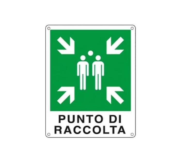 Cartello alluminio Cartelli Segnalatori punto di raccolta- E20153K