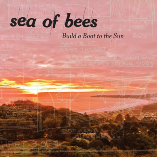 Sea of Bees Build a Boat to the Sun (Vinyl LP) 12" Album