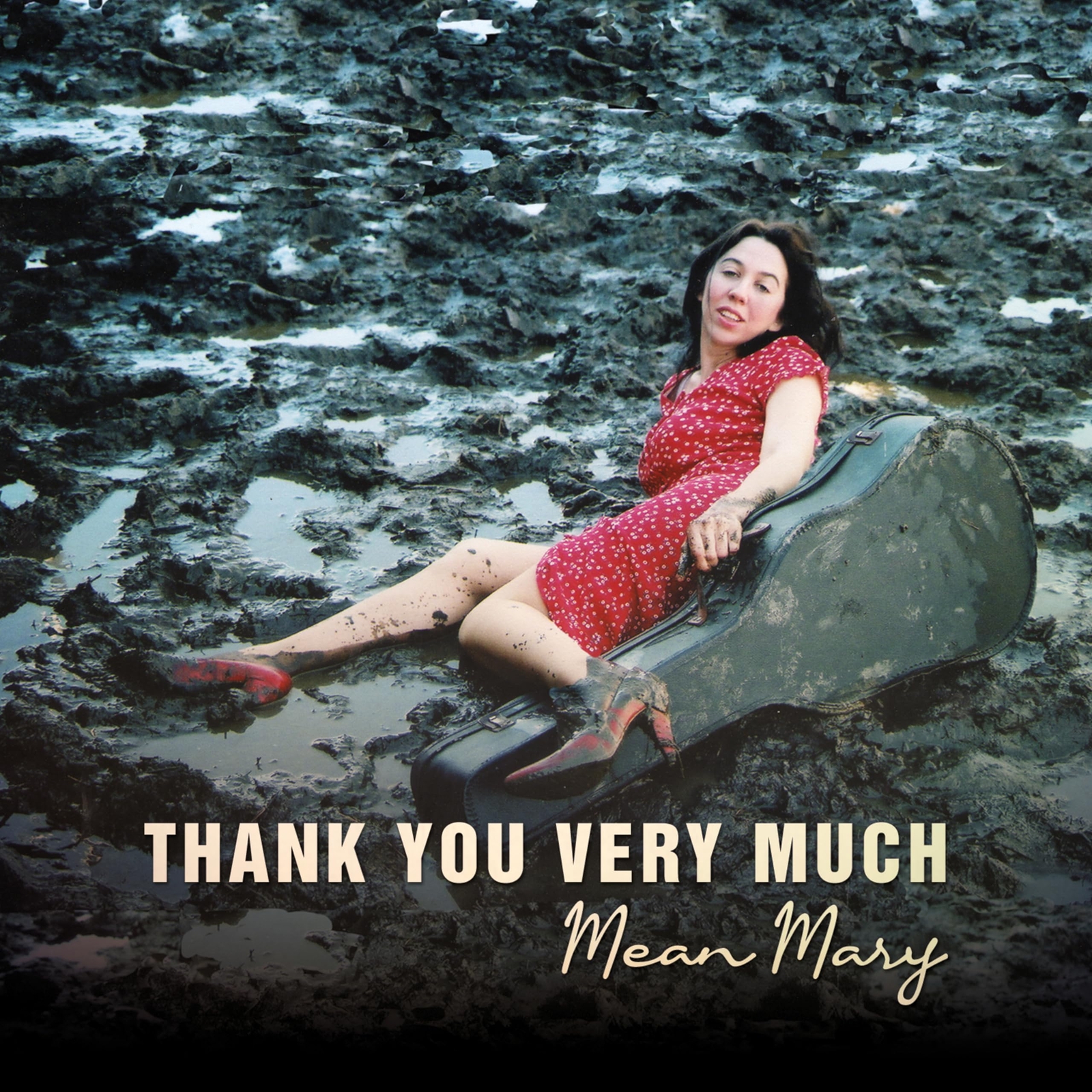 Mean Mary & Jamestown Thank You Very Much (CD)