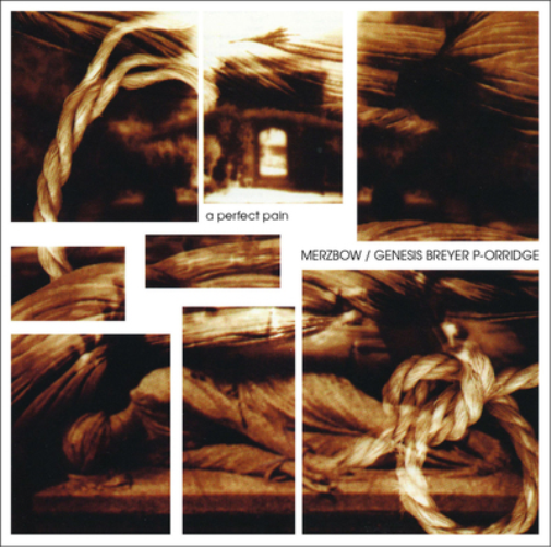 Merzbow/Genesis Breyer P-Orridge A Perfect Pain (Vinyl LP) 12" Album
