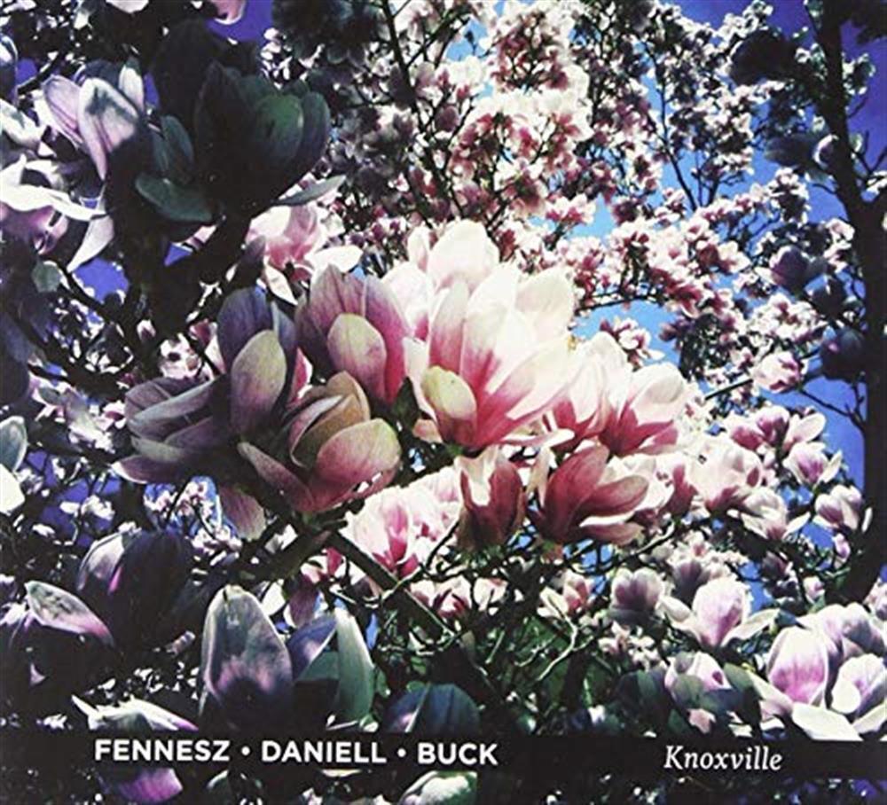 Knoxville - Fennesz (Vinile)