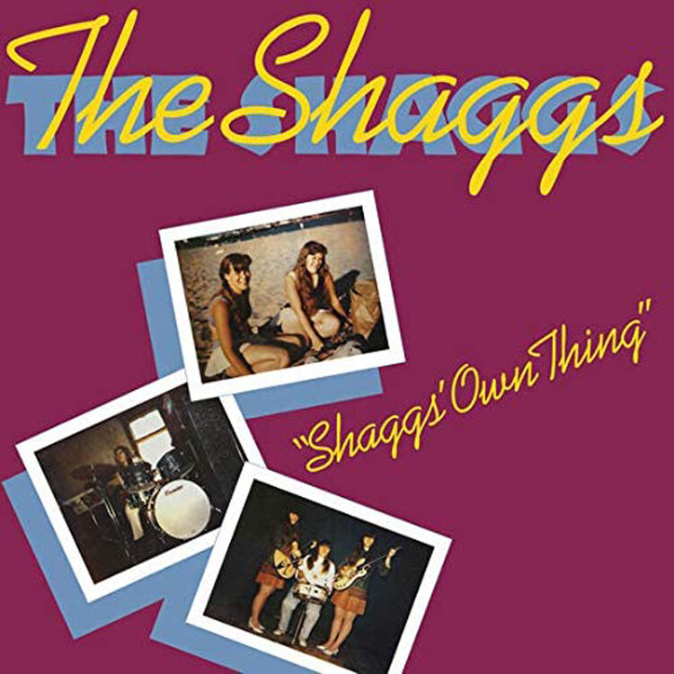 The Shaggs Shaggs' Own Thing (CD) Album
