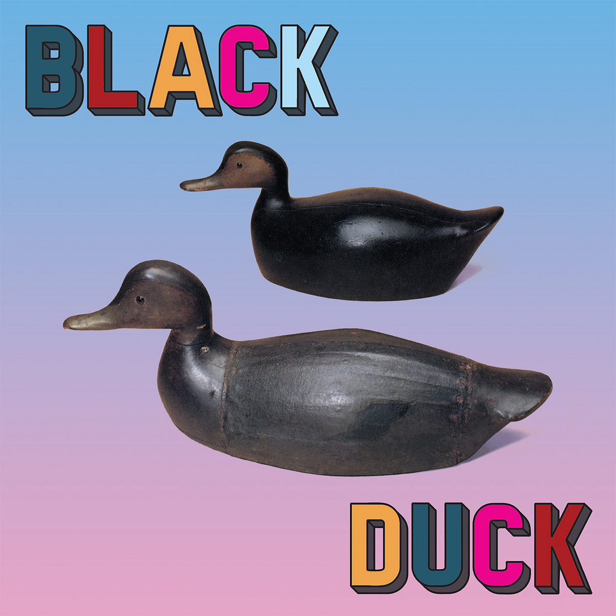Black Duck Black Duck (Vinyl LP) 12" Album
