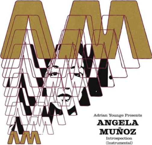 Angela Muñoz Introspection (Instrumentals) (Vinyl LP) 12" Album
