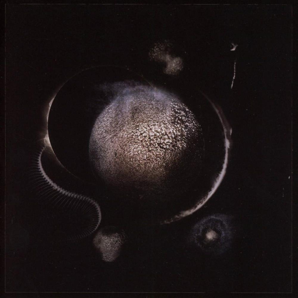 Cold Black Suns (Jewelcase) - Enthroned (Audio Cd)