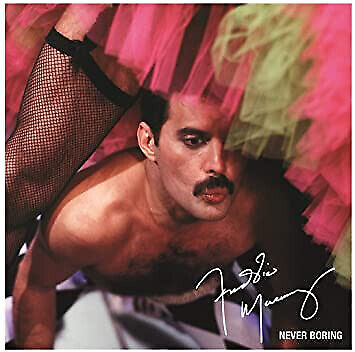 B25J8264 Cd - Freddie Mercury  Never Boring