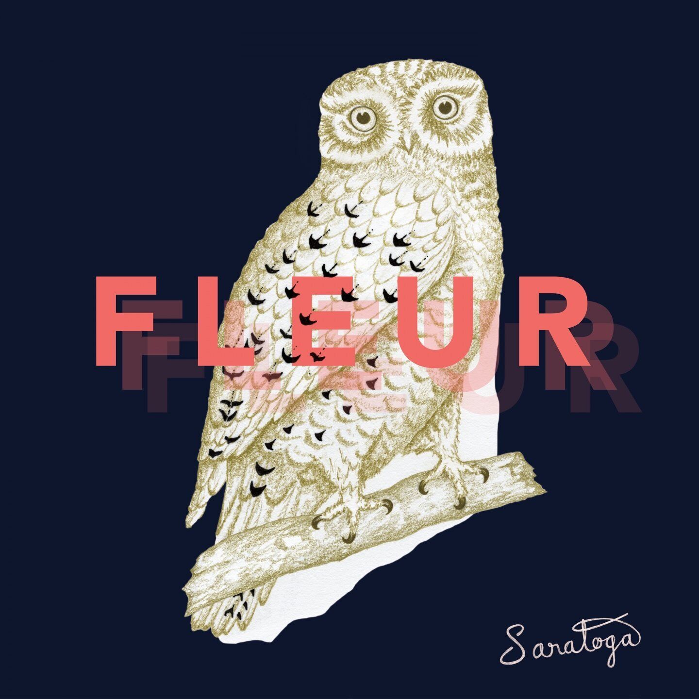 FLEUR Saratoga (CD)