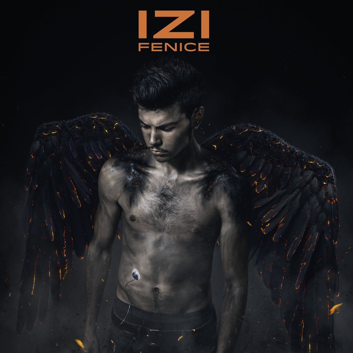 7024786 Audio Cd Izi - Fenice