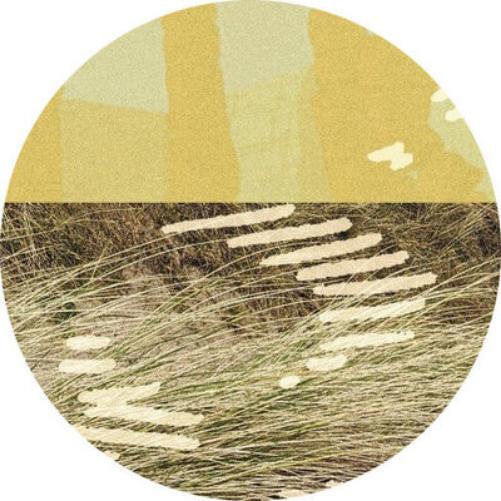 Parris Terrapin (Vinyl LP) 12" EP