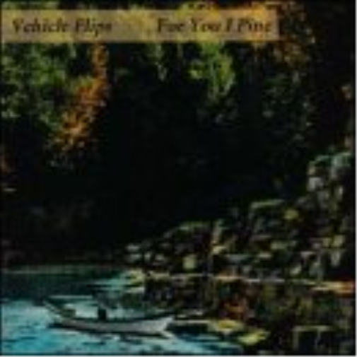 Vehicle Flips For You I Pine (CD)