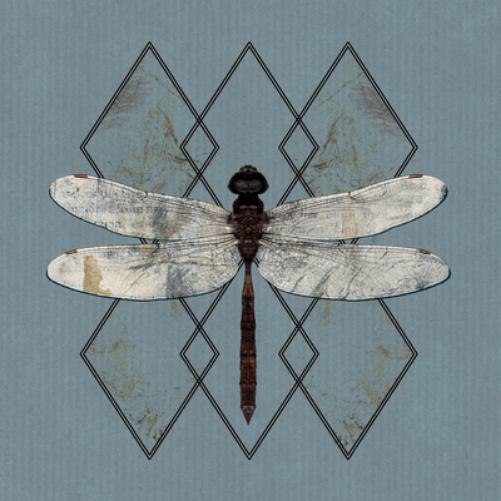 OHHMS Close (CD) Album