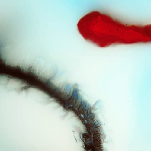 Stubborn Heart Stubborn Heart (Vinyl LP)