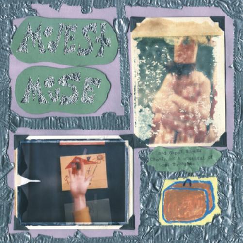 Modest Mouse Sad Sappy Sucker (Vinyl LP) 12" Album