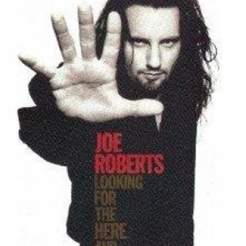 Looking for the Here and Now - Joe Roberts (Audio CD)